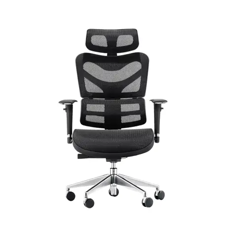 Dorsum - Executive Ergonomic Mesh Chair